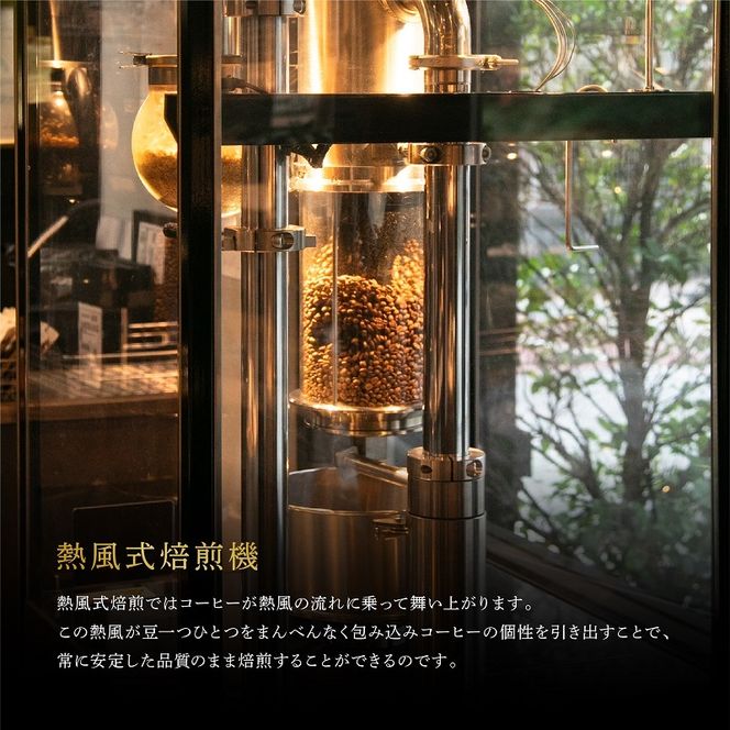 6ヵ月定期便【CRUISE TOWN COFFEE ROASTERS】中～中浅煎りドリップバッグセット（12g×16） 飲み物 飲料 ドリンク コーヒーブレイク ドリップコーヒー 手軽 