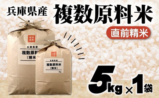 【７営業日以内発送】兵庫県産 複数原料米 5kg 精白米 令和７年産 【城口商店】ブレンド米 米 お米 5kg 米5kg 兵庫県産 令和7年産 R7年産 2025年産 精米