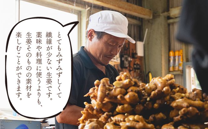 生姜 2kg 香南市産 別役の生姜 - 生姜 しょうが ショウガ ジンジャー 薬味 調味料 国産 株式会社べっちゃく 高知県 香南市 生姜焼き bc-0025