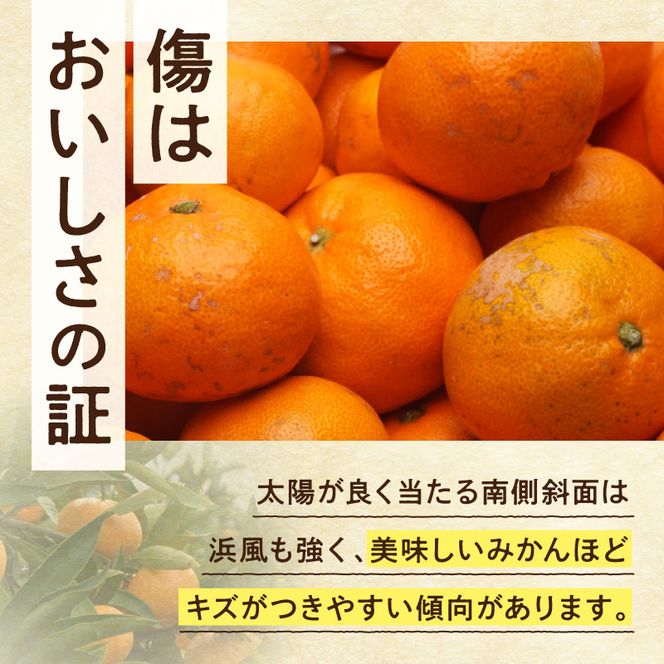 《2026年11月上旬～2027年1月下旬頃に順次発送》【2026年先行予約】家庭用 完熟有田みかん約2.5kg+250g（傷み補償分）【わけあり・訳あり】【光センサー選果】_ZH7127