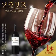 日本ワイン ソラリス マニフィカ2019 750ml 1本 赤ワイン マンズワイン 酒 お酒 洋酒 果実酒 ぶどう酒 長野 長野県小諸市