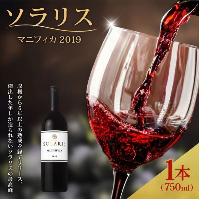 日本ワイン ソラリス マニフィカ2019 750ml 1本 赤ワイン マンズワイン 酒 お酒 洋酒 果実酒 ぶどう酒 長野 長野県小諸市