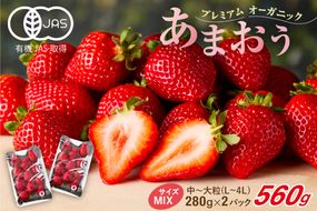 【先行予約】オーガニックあまおう「いせいちご」2パック(280g×2)【伊世いちご畑】_HA1116