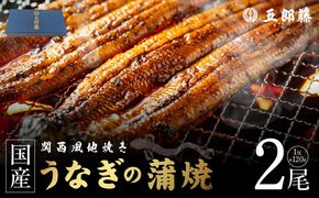 099H5078 【贈答用】五郎藤 関西風地焼き 国産有頭旨鰻 120g×2尾 計約240g うなぎ ウナギ 蒲焼き 炭火