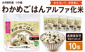 宮城県大河原町産つや姫のアルファ化米 わかめご飯 100g 10袋セット お米 長期保存 非常食 アルファ米 ご飯 ごはん 防災食 備蓄 保存食 常温 つや姫