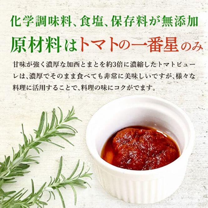 定期便 6ヶ月 トマトピューレ 380g×1本 トマトの一番星ピューレ トマトの一番星ピューレ トマト ピューレ とまと 五つ星ひょうご 無添加 スパゲッティ スパゲティ パスタ ぱすた リゾット スープ イタリアン 兵庫県 加西市