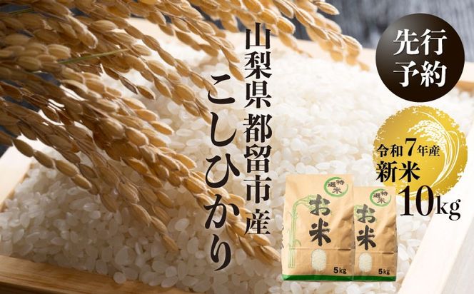 武田米 10kg 山梨県産 – わたなべ米店