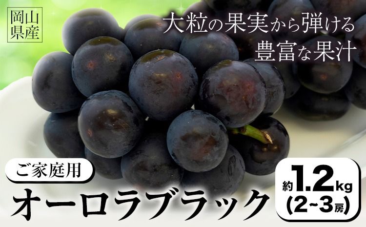 [2026年発送先行予約]ご家庭用 岡山県産 オーロラブラック 1.2kg 2-3房 晴れの国おかやま館 [2026年9月上旬-9月下旬頃出荷]岡山県 矢掛町 葡萄 ぶどう 果物 スイーツ フルーツ デザート[配送不可地域あり](離島)---ofn_chokob_ab9_25_15500_12---