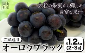 【2026年発送先行予約】ご家庭用 岡山県産 オーロラブラック 1.2kg 2-3房 晴れの国おかやま館 《2026年9月上旬-9月下旬頃出荷》岡山県 矢掛町 葡萄 ぶどう 果物 スイーツ フルーツ デザート【配送不可地域あり】（離島）---ofn_chokob_ab9_25_15500_12---