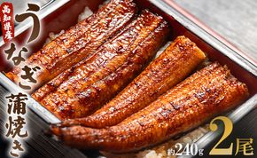 うなぎ 蒲焼き 国産 120g 2尾 鰻 うなぎ蒲焼 おいしい 冷凍 無頭 セット うなぎ屋きた本 - ウナギ 鰻 うなぎ大好き 夕飯 贅沢 贈答 お礼 惣菜 魚介 加工品 加工食品 un-0014