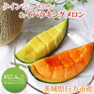 【2026年5月より順次発送】イバラキングメロン＆クインシーメロン（各1玉／計2玉）｜メロン クインシーメロン イバラキングメロン フルーツ 果物 くだもの セット 先行予約 茨城県 行方市(BW-21-1)