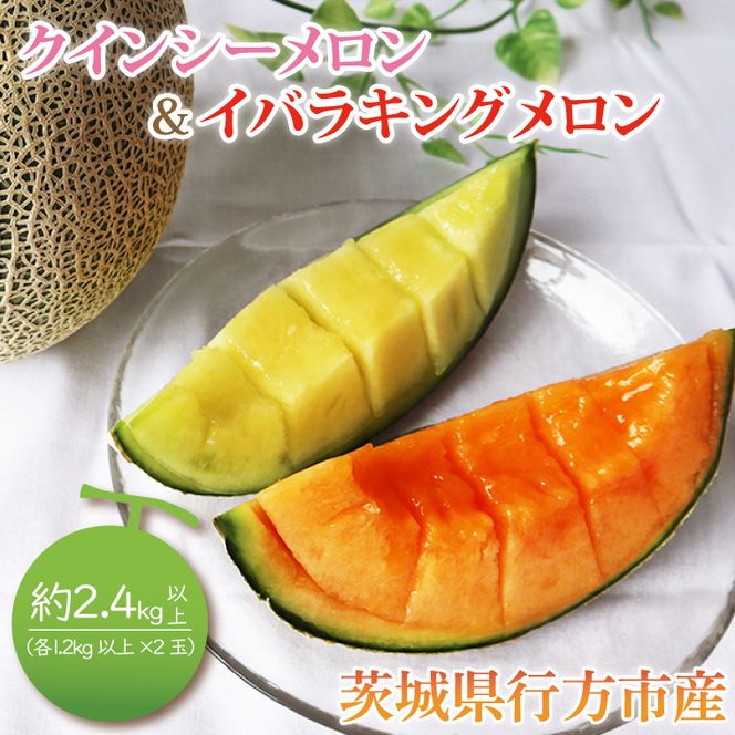 【2026年5月より順次発送】イバラキングメロン＆クインシーメロン（各1玉／計2玉）｜メロン クインシーメロン イバラキングメロン フルーツ 果物 くだもの セット 先行予約 茨城県 行方市(BW-21-1)