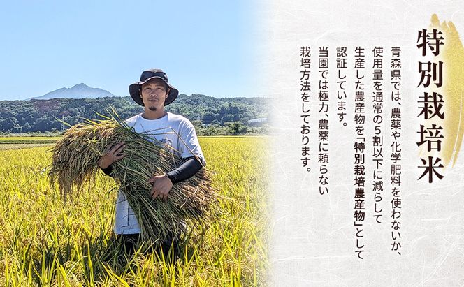 令和8年産 米 特別栽培米 はれわたり 10kg [玄米] 青森県産 新米 先行予約 10キロ (5kg×2) 特A 小分け 一人暮らし 鰺ヶ沢町 送料無料《H.GREENWORK》【10月中旬以降順次発送】