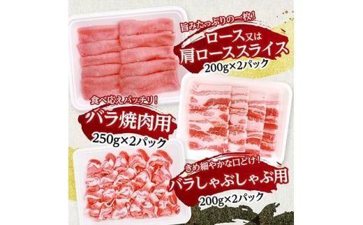 宮崎県産豚肉5種　3.2kg 【 豚肉 ぶた肉 肉 ロース バラ 切り落とし ミンチ 焼肉用 しゃぶしゃぶ 豚肉セット 】[C11628]