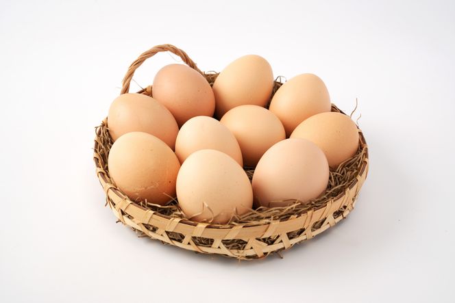 【限定50セット】標茶の恵み「平飼い 純国産 岡崎おうはん　こだわりの卵１箱 10個入り1セット」 016641_BT002