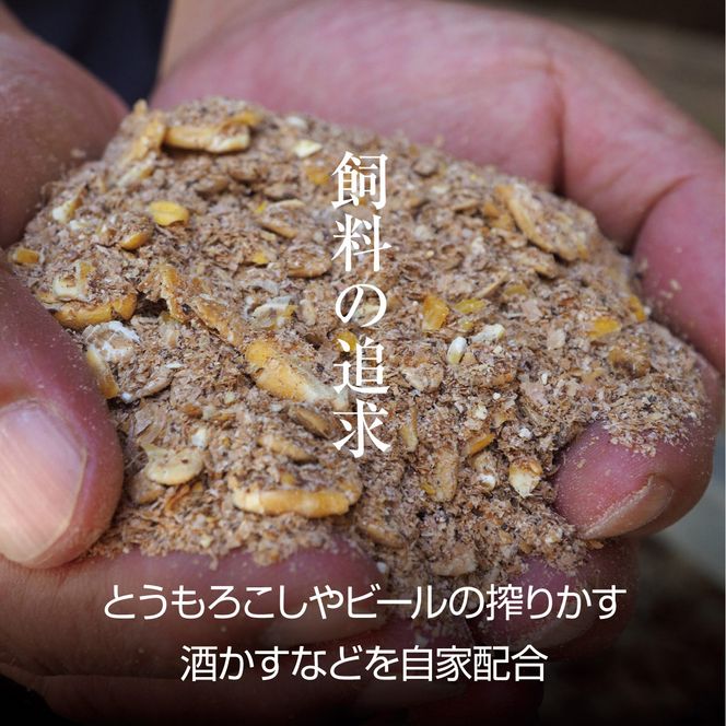 牛肉 京都もり牛 和牛 ホルモン 1kg 小分け 京都府産 国産 国産牛 黒毛和牛