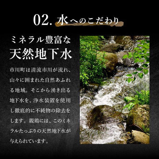 【累計5,000パック突破！】たずみの「ひね鶏」セット（スライス 200g・小間切れ 200g）003AB03N.／鶏肉 親鳥 鳥肉 とりにく ひねどり ひね鶏 チキン とり肉 もも 肉 モモ肉 胸肉 ムネ肉 こま切れ 細切れ 鶏むね肉 鍋 親子丼 唐揚げ 筑前煮 焼き鳥 小分け 真空パック 国産 冷凍