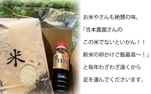令和 5年 新米 6.5kg 吉本農園 米 お米 おこめ 白米 国産 コシヒカリ ブランド 炊きたて 冷めても 美味しい 旨味 甘み 愛媛県 愛南町 発送期間：8月20日～
