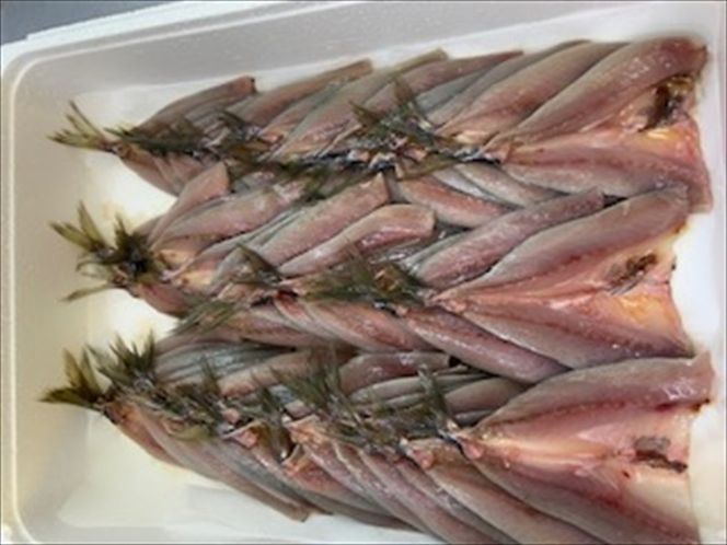 159-2020-27-01　国産あじフライ 10枚 【冷凍 鯵 アジ 冷凍アジフライ 魚介類 海鮮 惣菜 おかず ギフト 簡単調理 冷凍配送 送料無料 神奈川県 大磯町】