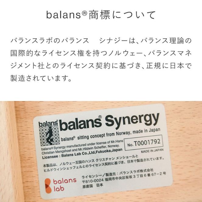 椅子 バランスシナジー カバーなし 選べる シート カラー 腰痛対策椅子 腰痛対策 家具