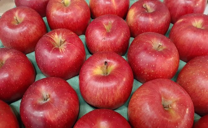 【5月発送クール便】 白熊 訳アリ家庭用シナノスイート 約5kg スマートフレッシュ 糖度13度【青森りんご 果物 フルーツ 果物類 デザート 食後 おやつ 青森のりんご 】