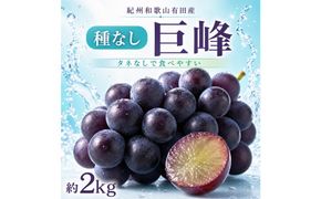 紀州有田産の種なし巨峰ぶどう約２kg【先行予約】【2026年8月中旬以降発送予定】AN026