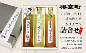 櫻室町 こだわりだけを詰め込んだ リキュール 詰合せ 300mlx3本セット（L3-4H） お酒 アルコール 酒 