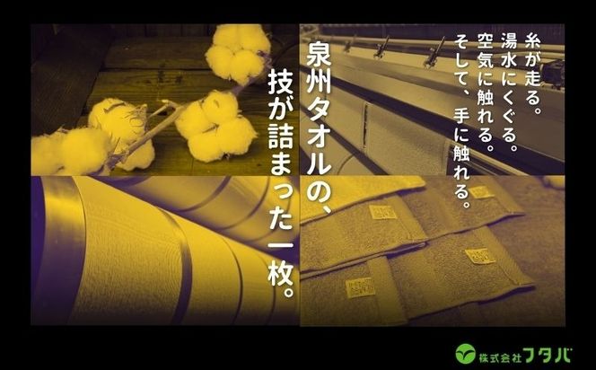 G3250 お洗濯がラクチン バスタオル  3枚セット（ブラウン／ベージュ／グレー）【泉州タオル 国産 吸水 普段使い シンプル 日用品】