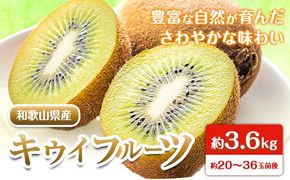 先行予約 和歌山県産 キウイフルーツ 約3.6kg 約20玉～36玉前後 前商店《2026年2月上旬-3月末頃出荷》キウイ キウイフルーツ フルーツ スイーツ 果物 送料無料---wsk_mes18_2j3m_25_14000_20t---