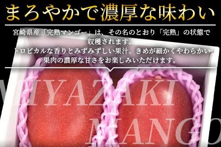 数量限定！【2025年発送】＜宮崎県産 完熟マンゴー A等級 2Lサイズ×2玉（合計約700g）＞2025年4月下旬～6月末迄に順次出荷【b0477_ja】