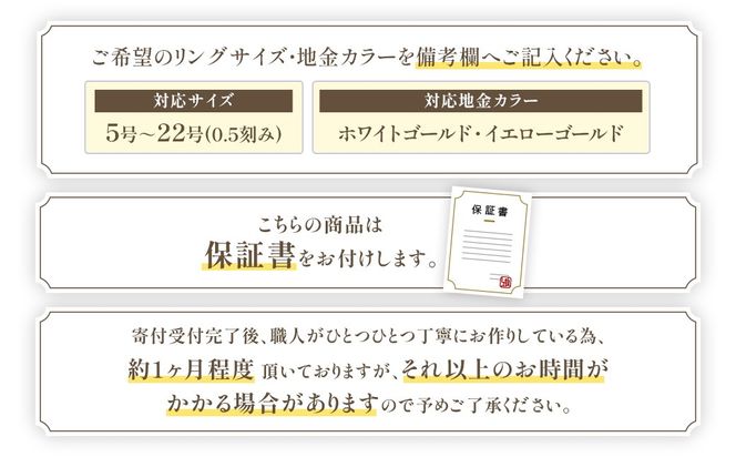 ガーネット リング 1.0ct K10WG （14421）　BR-16