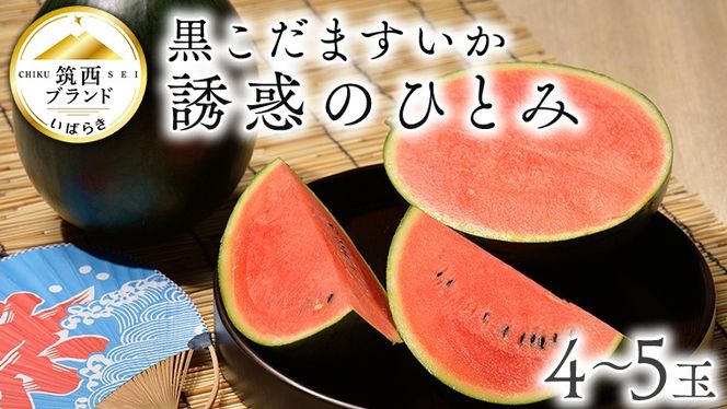 【 JA北つくば 】 黒こだますいか 「 誘惑のひとみ 」 4〜5玉 先行予約 スイカ 果物 フルーツ [AE004ci]