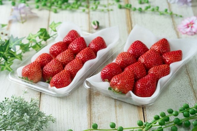 福岡産【冬】あまおうDX(デラックス)2パック【南国フルーツ株式会社】_HA1911