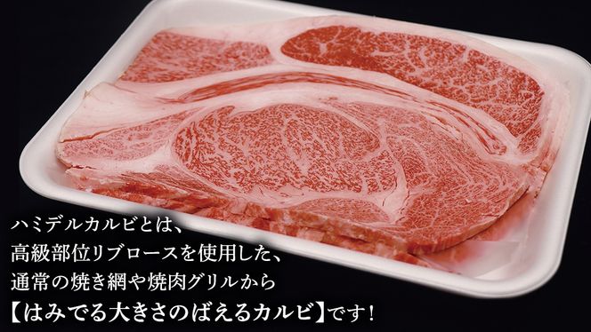 常陸牛 ハミデルカルビ 1kg （ 6～10枚 ） (茨城県共通返礼品) 国産 焼き肉 カブリ ゲタ リブ芯 リブ巻 中落ちカルビ バーベキュー BBQ お肉 ブランド牛 黒毛和牛 和牛 国産黒毛和牛 国産牛 牛肉 [BM141us]