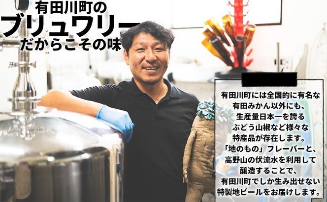 和歌山の地ビールブルーウッドブリュワリー飲み比べ6本セット BY03
