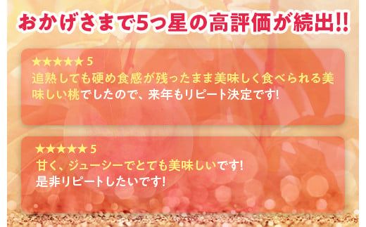 透過式光センサーまどか桃 特秀3kg相当 9玉～11玉＜ ふくしま未来農業協同組合 ＞ | ふくしま 桃 福島 もも 国見 モモ ※2026年8月上旬～8月中旬頃に順次発送予定 ※沖縄・離島への配送不可