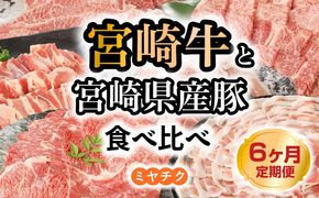 【6ヶ月定期便】宮崎牛と宮崎県産豚食べ比べ N0147-YG0247