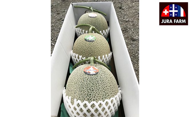 【2026年6月下旬～発送】特選 ふらの メロン 3玉 計約6kg 北海道 富良野市 赤肉メロン (ジュラファーム富良野) メロン フルーツ 果物 新鮮 甘い 贈り物 ギフト 道産 ジューシー おやつ ふらの ブランド 夏 