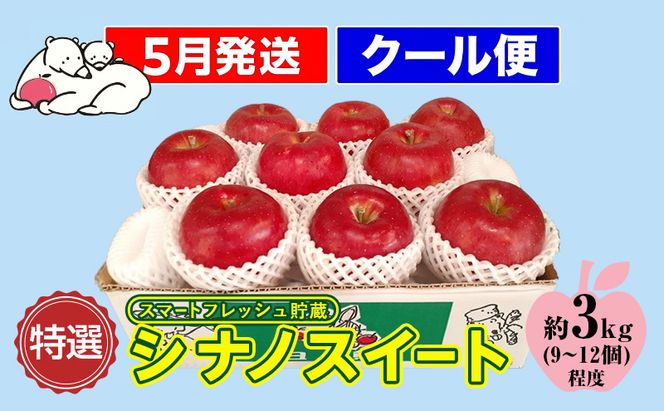 【5月発送クール便】白熊 贈答用シナノスイート約3kg スマートフレッシュ 糖度13度【青森りんご 果物 フルーツ 果物類 デザート 食後 おやつ 青森のりんご 】