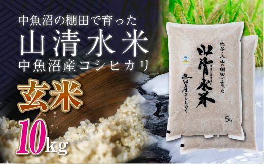 新潟県魚沼産コシヒカリ「山清水米」玄米10kg 