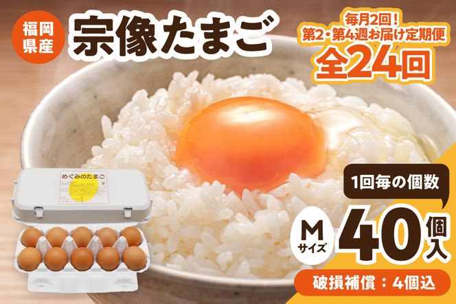 【毎月2回！第2・第4週お届け定期便】新鮮 赤卵「宗像たまご」Mサイズ 40個×12ヶ月定期便 (36個＋補償4個)【JAほたるの里】_HB0218