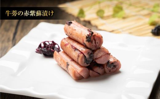【2ヶ月定期便】なごみやお試しセット 5種 合計620g セット ピクルス きゅうり 椎茸 芽キャベツ 牛蒡 ゴボウ 漬物 漬け物 詰合せ 詰め合わせ 野菜 野菜漬け 茨城県 守谷市 送料無料