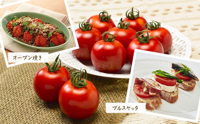 トマト 桜ファーム の 中玉トマト フルティカ 1.5kg とまと おいしい 箱入り ボックス 安心安全 農家直送 樹上完熟 ジュース ピューレ ソース ペースト 野菜