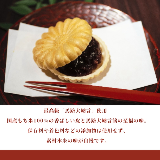 ys{TszsGߌt  3Zbg ۑsgp  MtgΉ  aَq XC[c Œ  Q lC lߍ킹 ւ̔zs