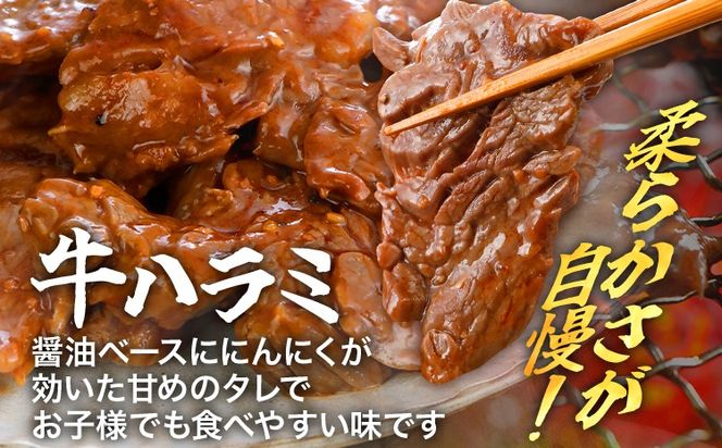 牛豚味付け焼肉セット 2.4kg 牛ハラミ 牛バラ 豚バラ 味付き 小分け 保存 醤油 にんにく タレ 子供 生姜 香味野菜 ネギ塩 キャンプ バーベキュー 福岡県 福岡 九州 グルメ お取り寄せ