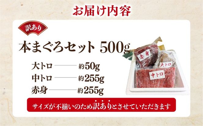 本マグロ（大トロ・中トロ・赤身）訳ありセット 500g 【ogm-024】