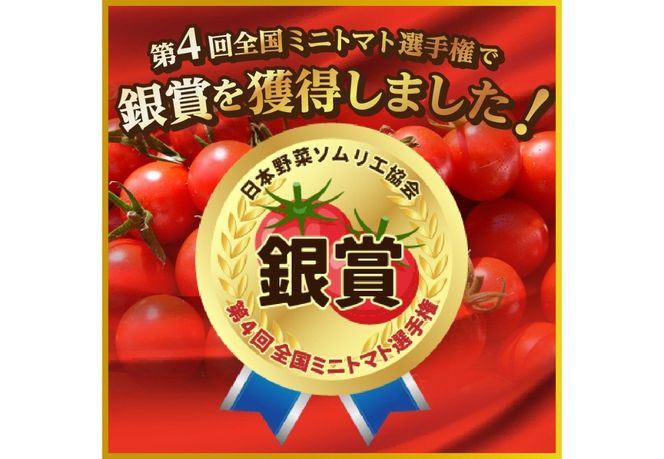 FUJITOMA　（フルーツトマト）　1kg ミニトマトトマト 野菜 フルーツトマト 高糖度 山梨 富士吉田