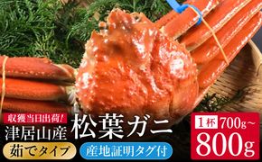 期間・数量限定 タグ付き 津居山産 松葉ガニ 1杯 / 茹で 700g～800g / 新鮮 松葉がに 松葉蟹 ズワイガニ ずわいがに かに カニ 蟹 ボイル 冷蔵 海鮮 お取り寄せ グルメ 兵庫県 豊岡市 津居山漁港 但馬漁業協同組合