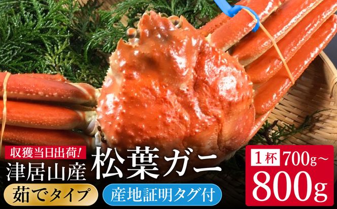 �y���Ɍ��L���s�z���ԁE���ʌ��� �^�O�t�� �Ë��R�Y ���t�K�j 1�t / 䥂� 700g�`800g / �V�N ���t���� ���t�I �Y���C�K�j ���킢���� ���� �J�j �I �{�C�� �① �C�N ������ �O���� ���Ɍ� �L���s �Ë��R���` �A�n���Ƌ����g��