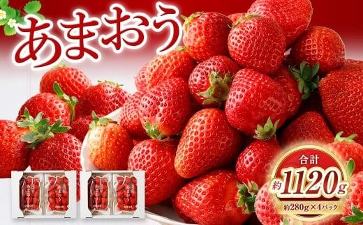 ytzy2zyʌz ܂ 280g×4pbN v1,120g y2026N2{珇\z   C`S x[ ʕ t[c fU[g    t ①